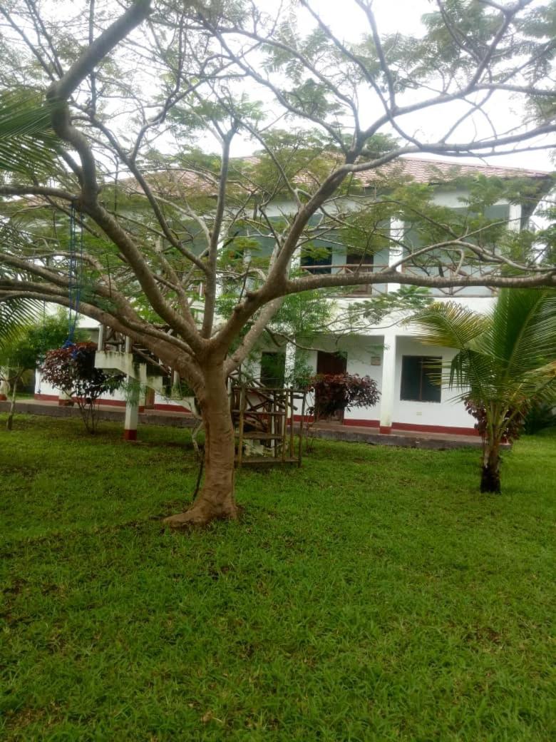 Bed & Breakfast Msafiri House