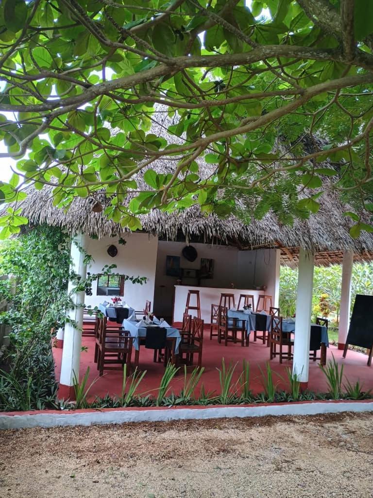 Bed & Breakfast Msafiri House Zanzibar